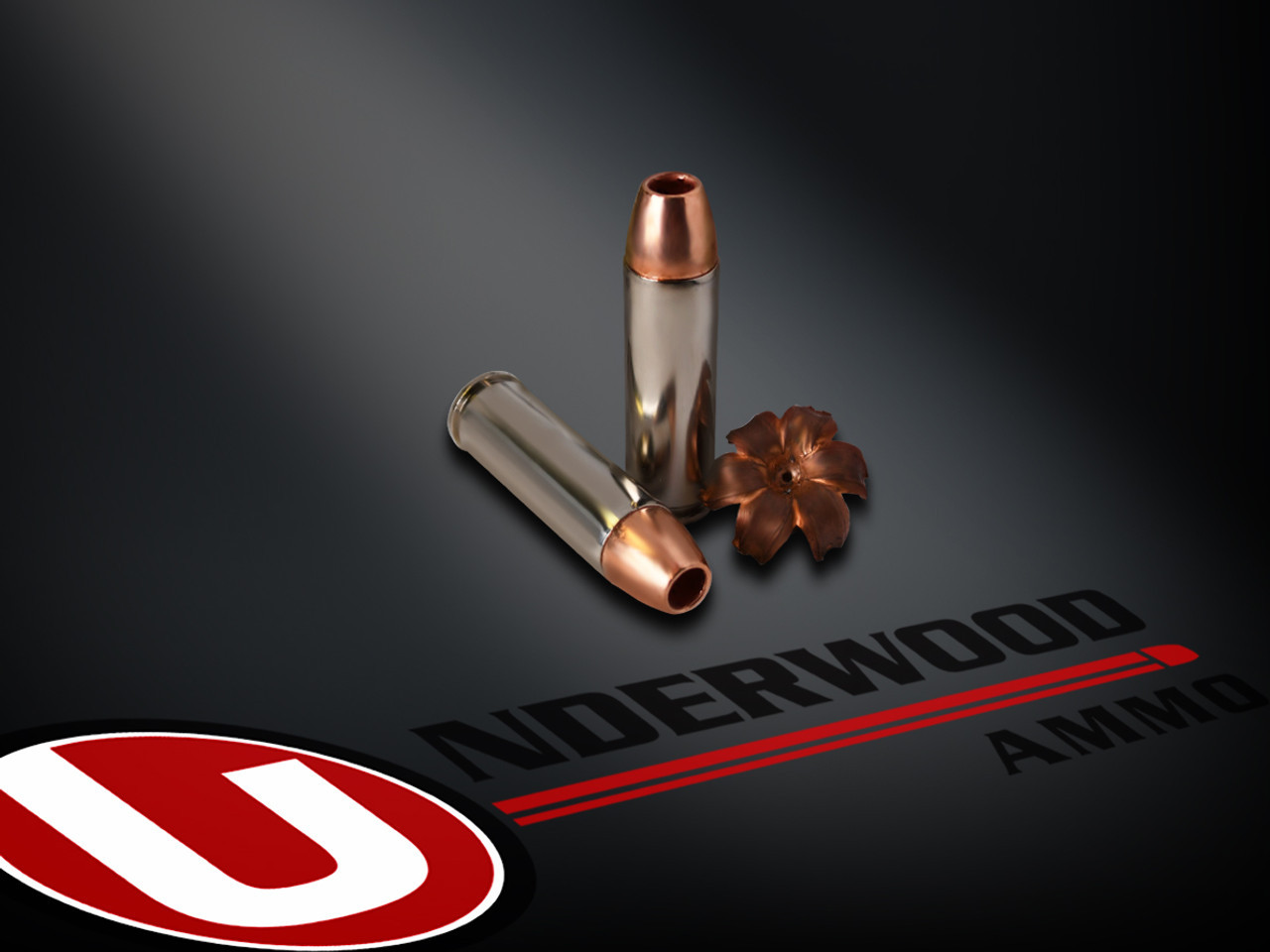 500-s-w-magnum-275-grain-xpb-solid-copper-hollow-point-hunting-self-defense-ammo-sku-754__71208.1685734262__21480.1690462116.jpg