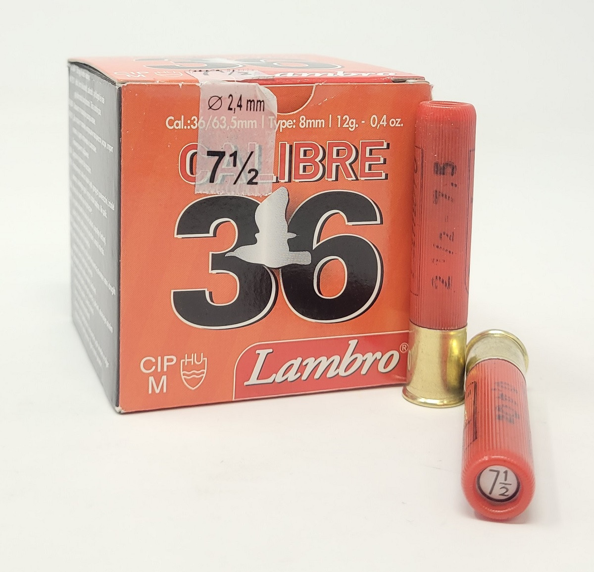 LAM41075__33832.1707155846.jpg