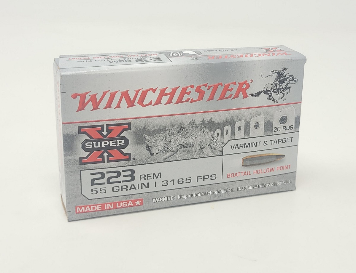 W223HP55__11403.1685023204.jpg