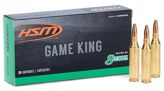 gameking_bullets-resized__57280.1680029851.png